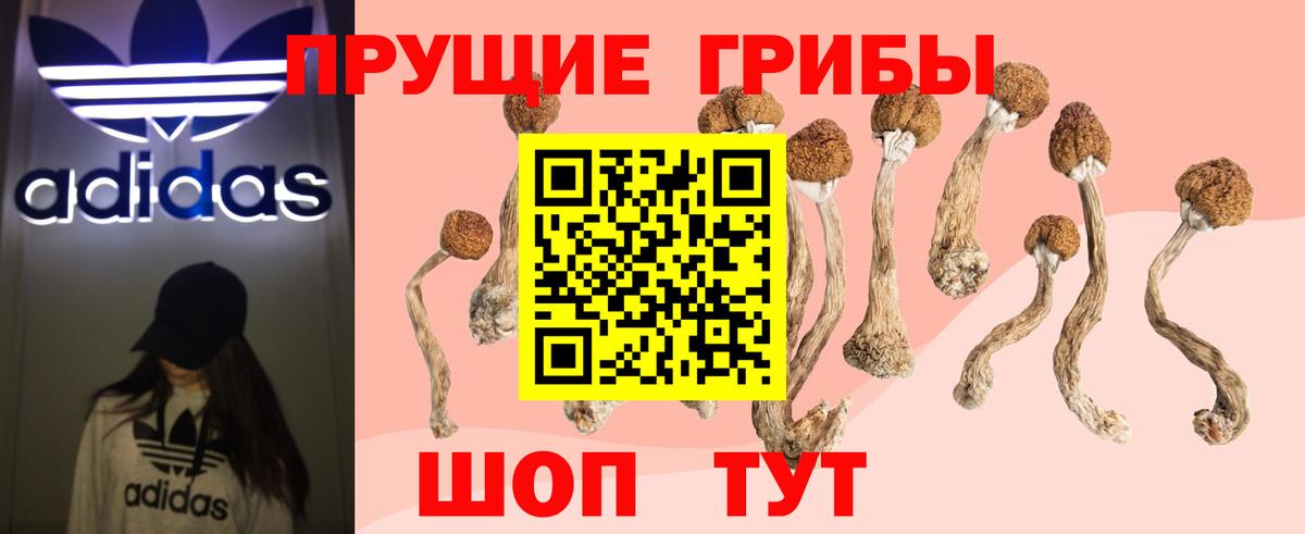 Псилоцибиновые грибы мухоморы Вичуга