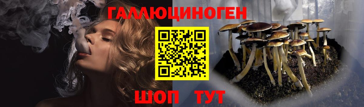 Вичуга  Галлюциногенные грибы прущие грибы  Псилоцибиновые грибы Psilocybe  наркотики  Вход с VPN 