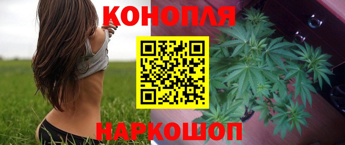 Марихуана THC 21% Вичуга